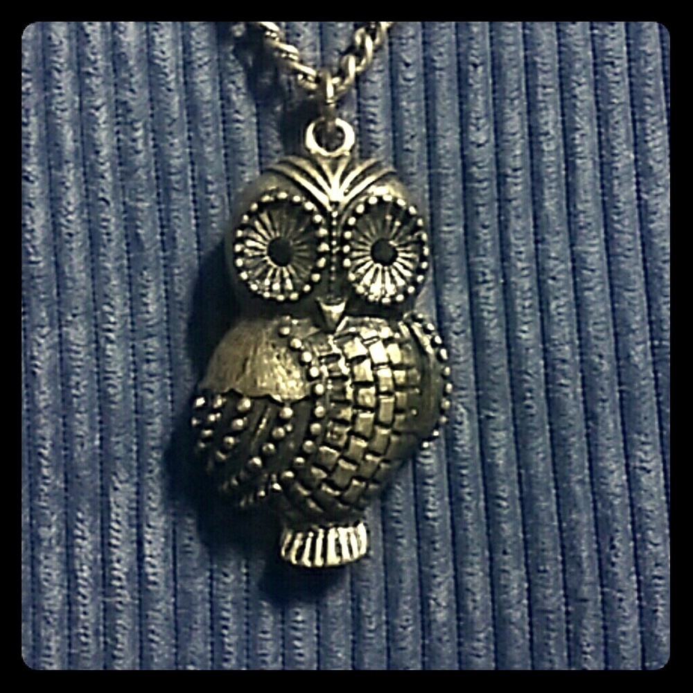 Awesome Owl Mixed Media Chain Locket Pendant