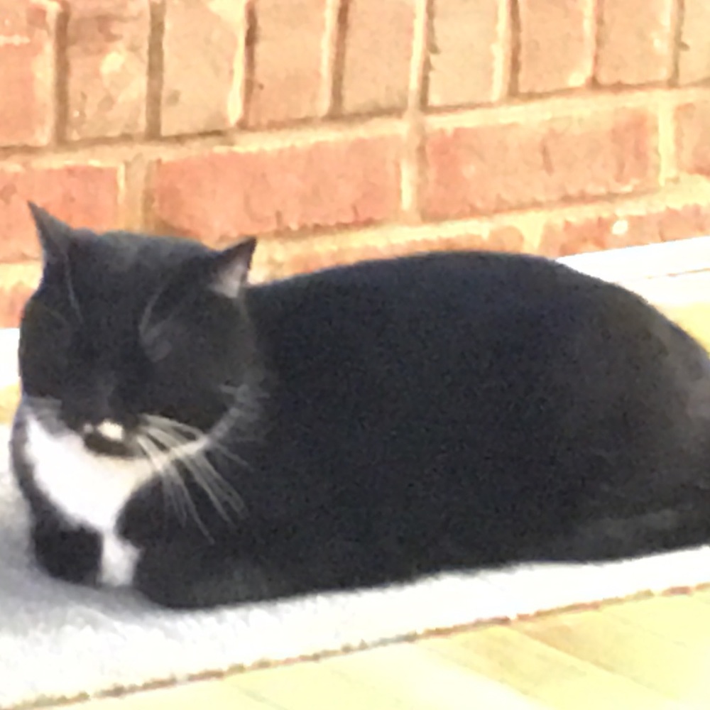 Meet your Posher, Kristi