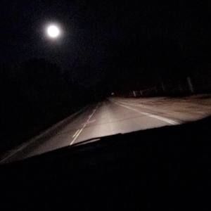 Meet your Posher, Lonnie