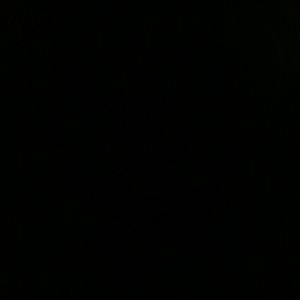 Meet your Posher, Sandy