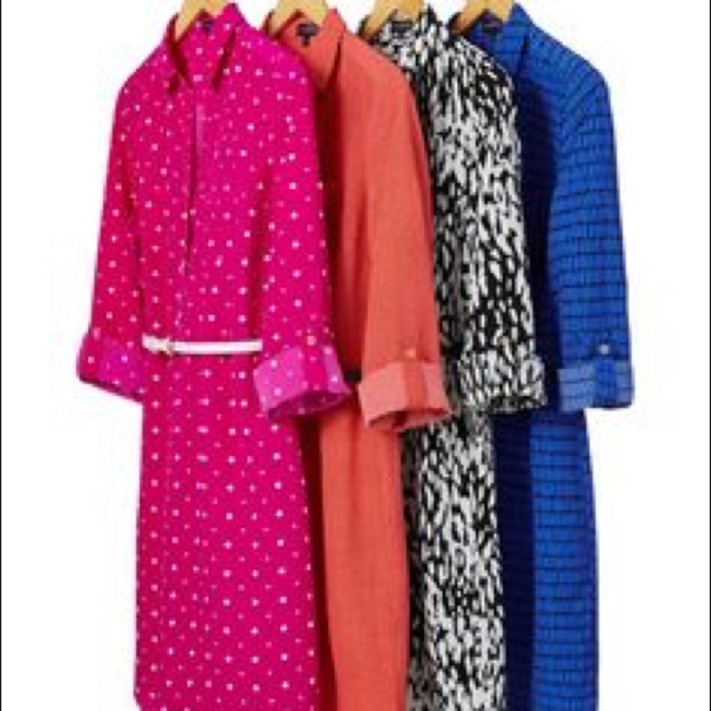 The Ltd Ashton shirtdress
