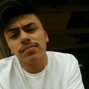 Meet your Posher, Hector