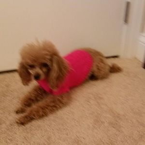 Meet your Posher, Janice