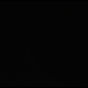 Meet your Posher, Sadie