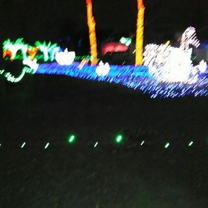 Meet your Posher, Rosanne