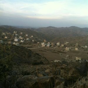 Meet your Posher, Ali