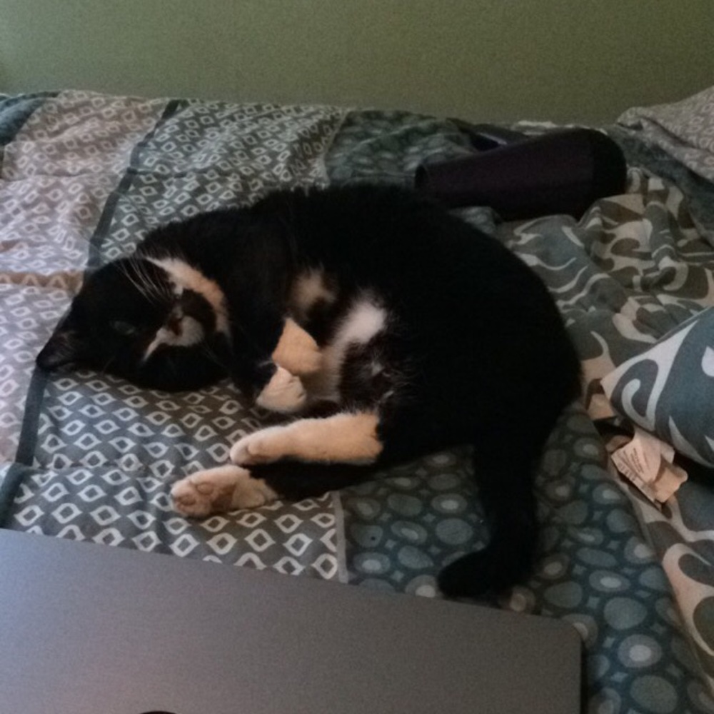 Meet your Posher, Leah