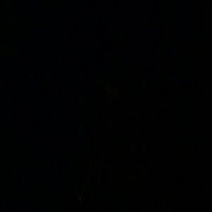 Meet your Posher, Antionette