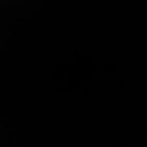 Meet your Posher, Ale