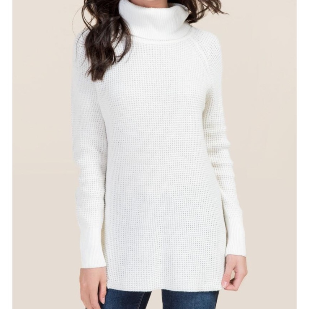 Turtle neck sweater