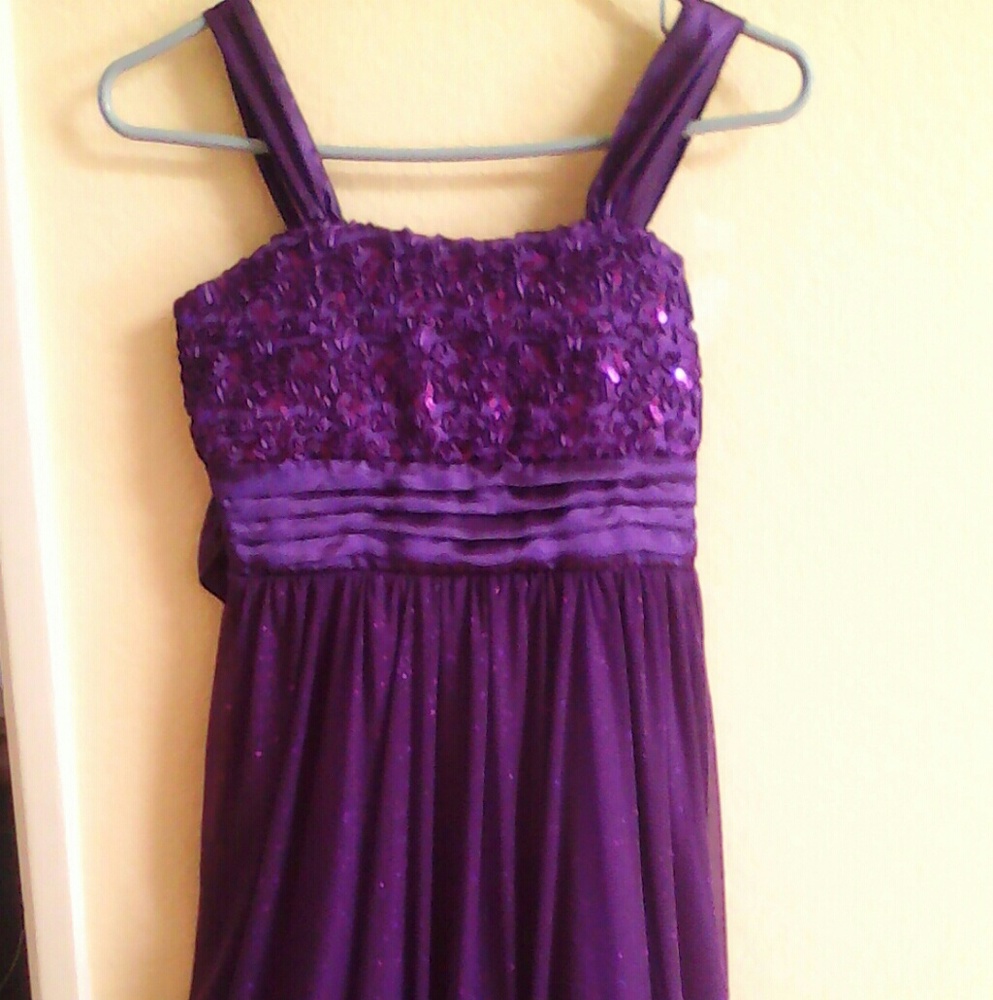 NWOT speechless purple bubble holiday dress