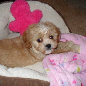 Meet your Posher, Jill