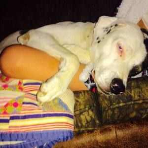 Meet your Posher, Olivia