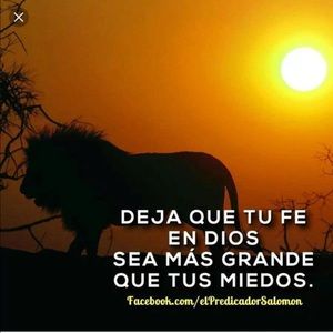 Meet your Posher, Yasmilet