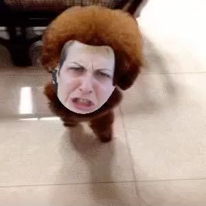 Meet your Posher, Debra