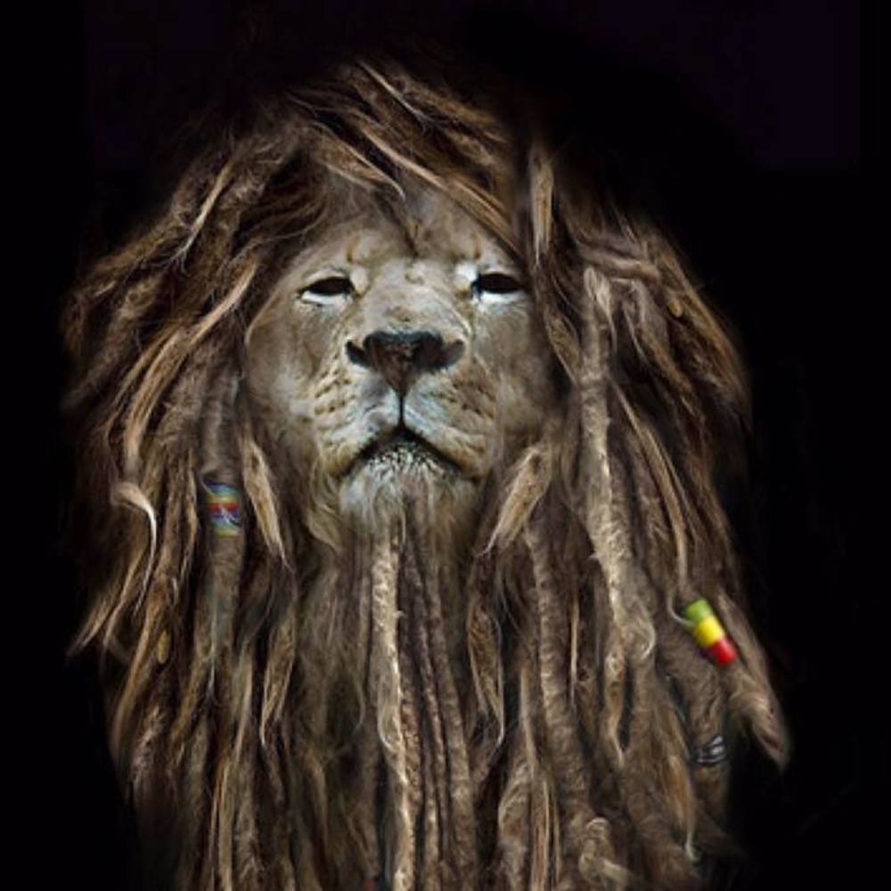 Meet your Posher, Gidon