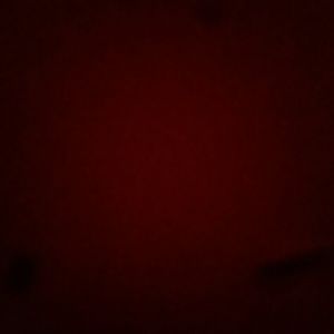 Meet your Posher, Lee