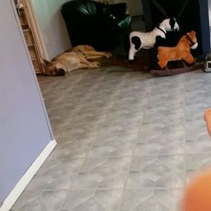 Meet your Posher, Deborah