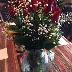 Meet your Posher, Marianne