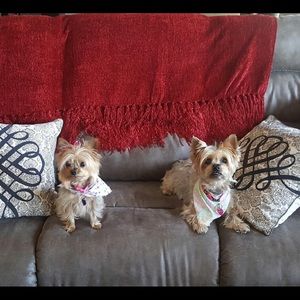 Meet your Posher, Chris