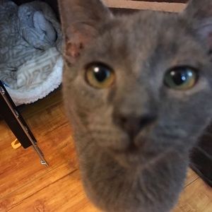 Meet your Posher, Eunice