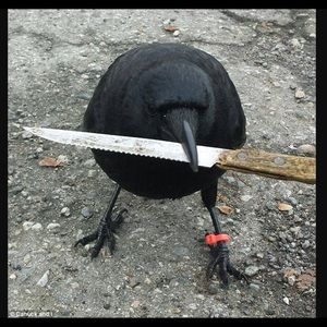 Meet your Posher, Claire