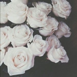 Meet your Posher, Lhynn