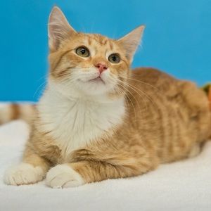 Meet your Posher, Loretta