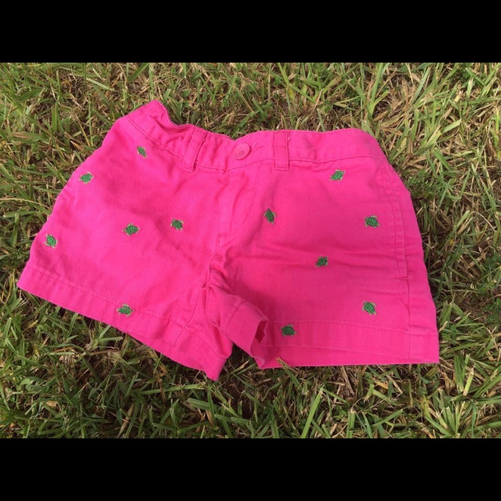 Ralph Lauren Turtle Shorts