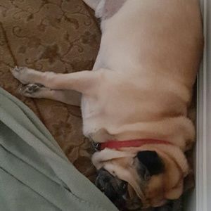 Meet your Posher, Sherita