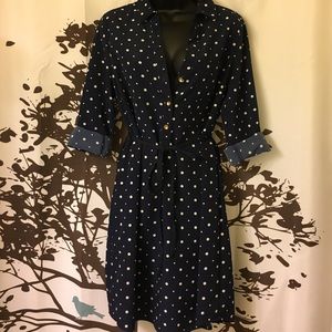 The Limited Collared Dress.