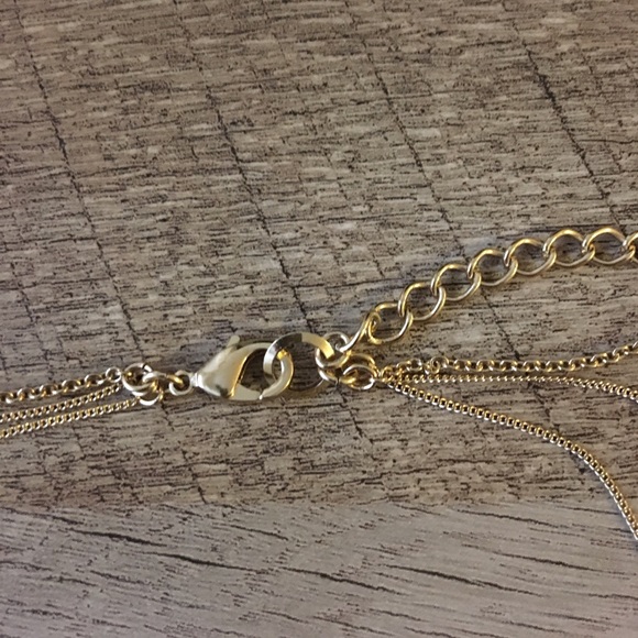 Layered Necklace - Picture 4 of 4