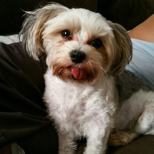 Meet your Posher, Jillian