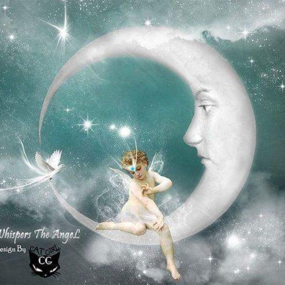 Meet your Posher, Nessy