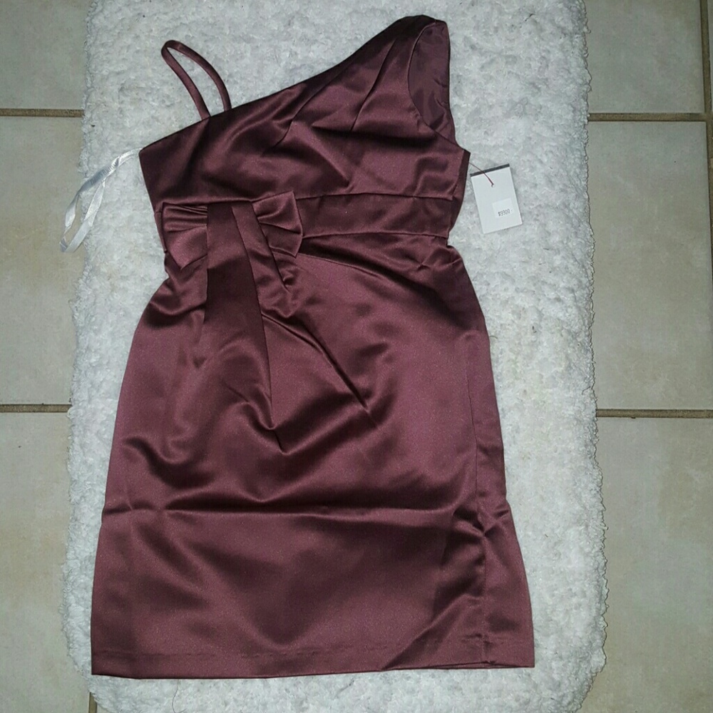 Little Girls Dress ( light raisin color)