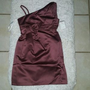 Little Girls Dress ( light raisin color)