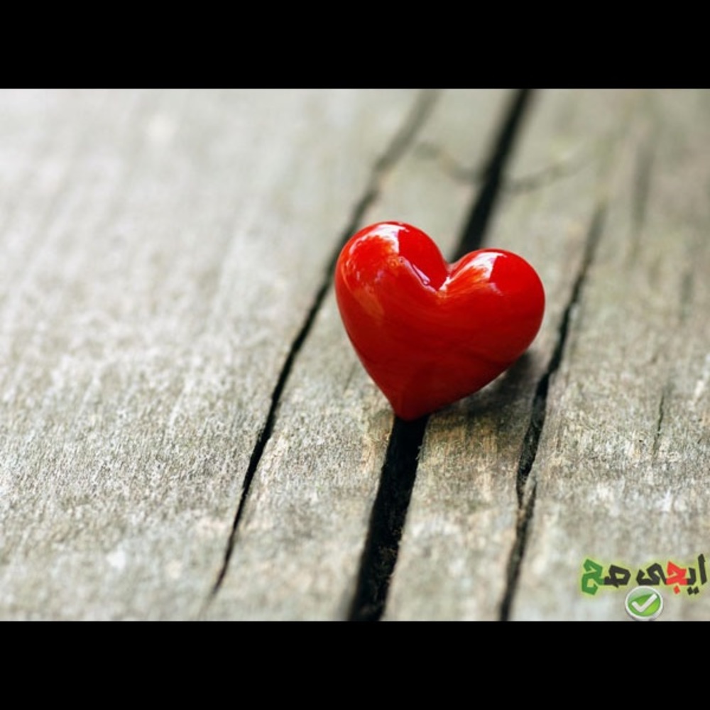 Meet your Posher, Manal