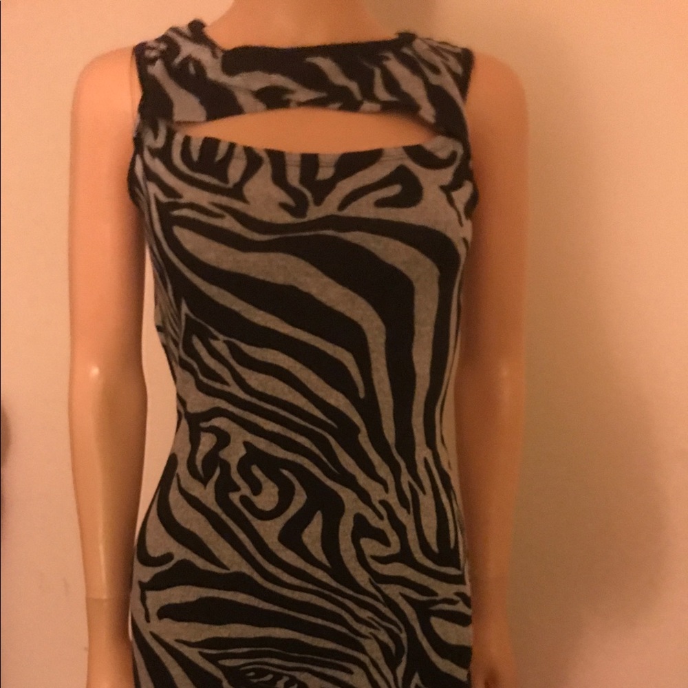 💥Zebra striped dress 👗NWOT ✨