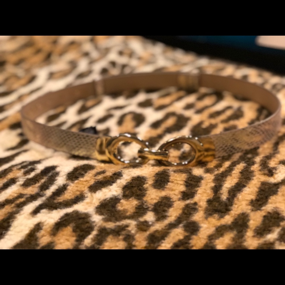 💥Bebe💥 Tan & Gold Snake Skin Belt!