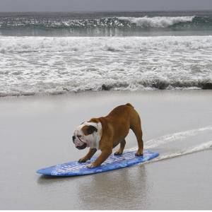 Meet your Posher, Jared