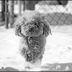 Meet your Posher, Kasia