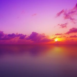 Meet your Posher, Leigh