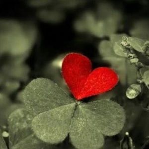 Meet your Posher, Janette