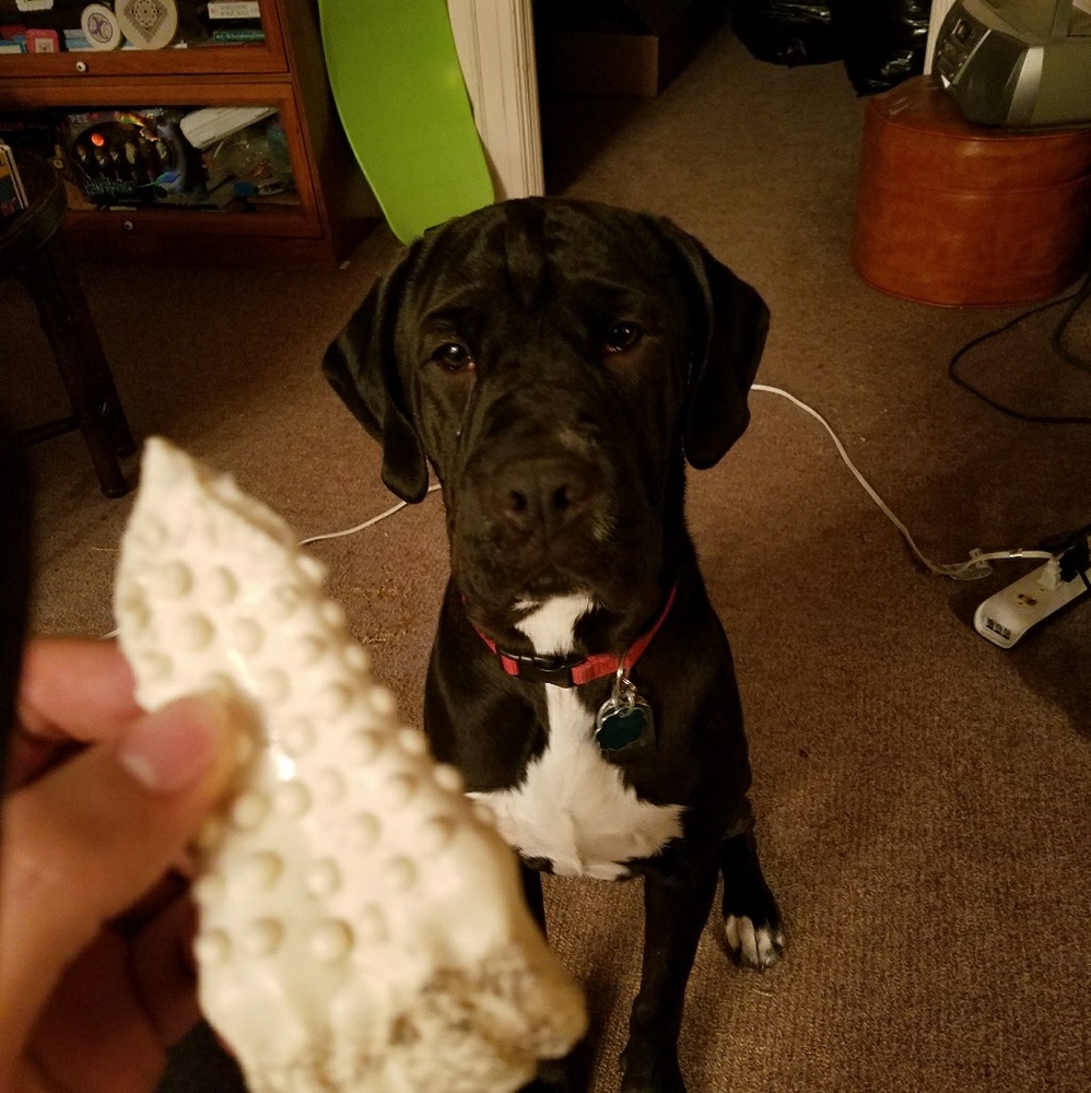 Meet your Posher, Martin