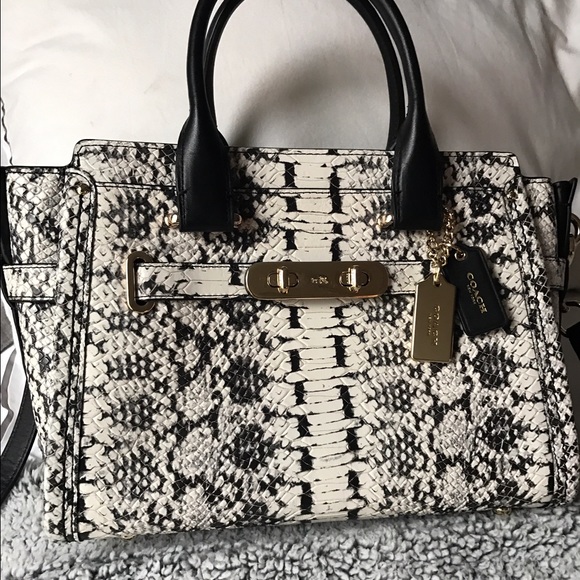 Coach - Picture 4 of 4