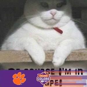 Meet your Posher, Donna