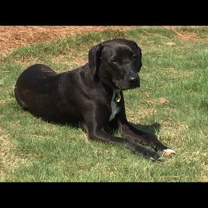 Meet your Posher, Jane