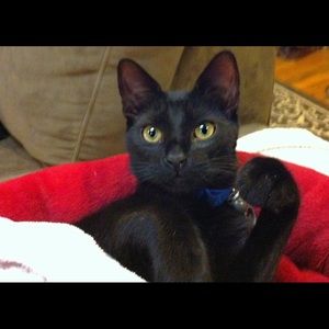 Meet your Posher, Christine