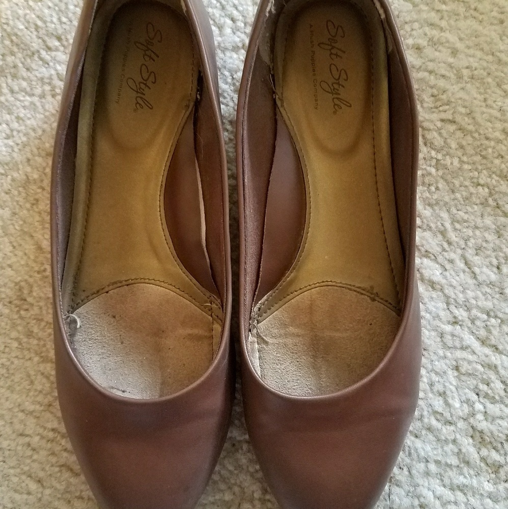 Brown flats husg puppies size 8