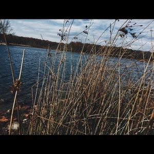 Meet your Posher, Ann